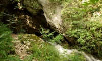 Pestera Izbucul Cotetul Dobrestilor poza