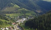 Statiunea Albac poza