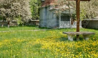 Schitul Tibucani poza