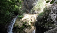 Baile Romane Cetea poza