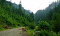 Valea Somesului Rece poza
