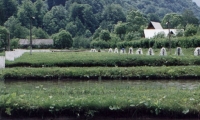 Pastravaria Lepsa poza