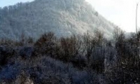 Rezervatia paleontologica si geologica Piatra Pinului si Piatra Soimului poza