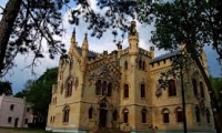 Castelul Sturdza Miclausani poza