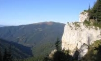 Rezervatia paleontologica si geologica Piatra Pinului si Piatra Soimului poza