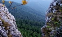 Rezervatia paleontologica si geologica Piatra Pinului si Piatra Soimului poza