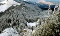 Rezervatia paleontologica si geologica Piatra Pinului si Piatra Soimului poza