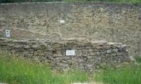 Cetatea Nouă a Romanului poza
