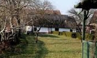 Casa Memoriala Ady Endre poza