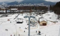 Partia Soimul Din Gura Humorului poza