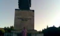 Statuia Lui Vasile Lucaciu poza