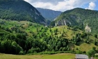 Rezervatia Naturala Padurea Noroieni poza