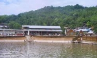 Statiunea Lacu Sarat poza