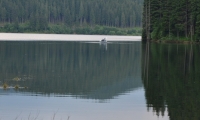 Lacul Bolboci poza