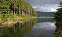 Lacul Bolboci poza