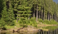 Lacul Bolboci poza