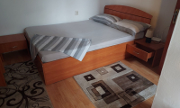 cazare Casa Bota poza