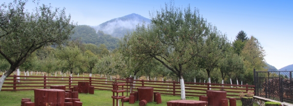 cazare Restaurant Trei Moroseni poza