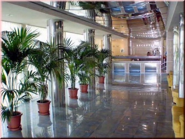 cazare Restaurant Pelican poza