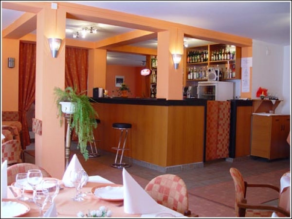 cazare Restaurant Casa Alesiv poza