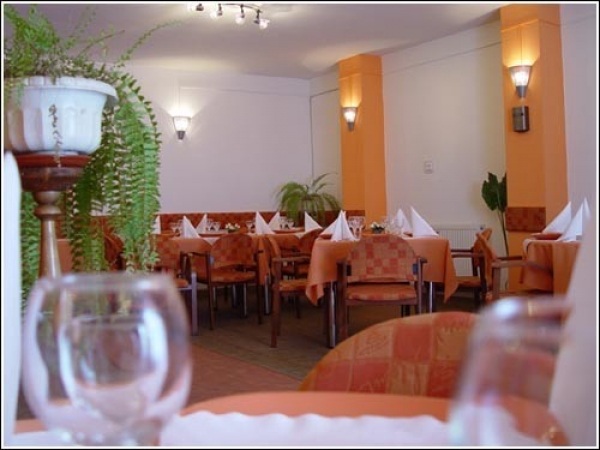 cazare Restaurant Casa Alesiv poza