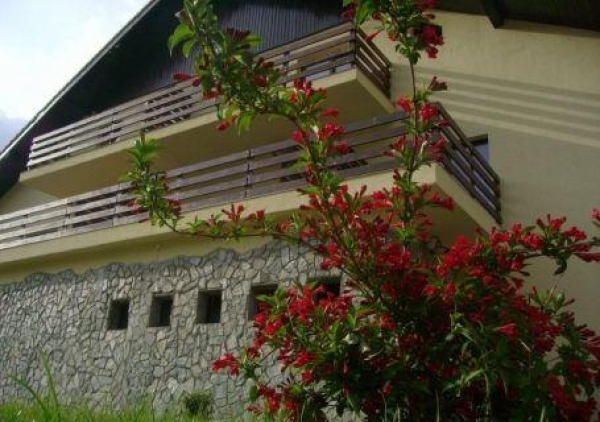 cazare Restaurant Mili poza