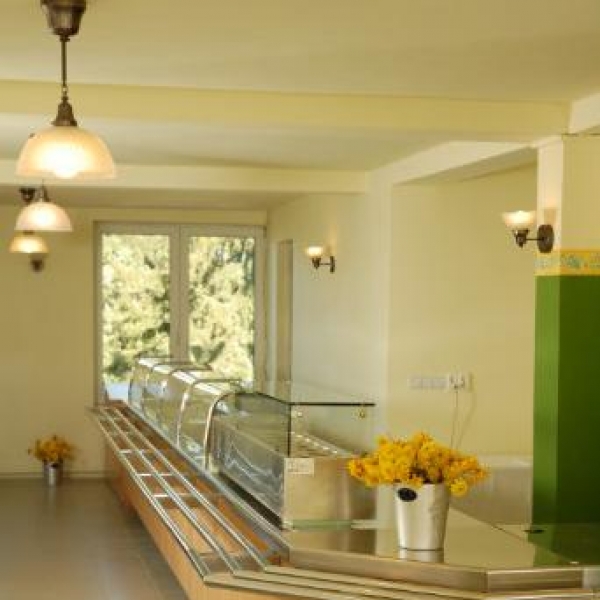 cazare Restaurant Platoul Soarelui poza