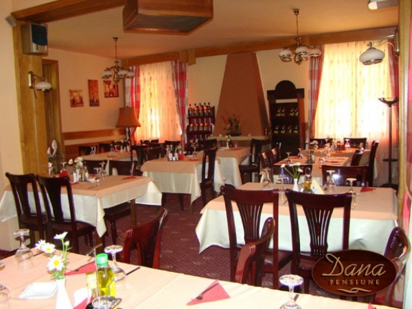 cazare Restaurant Dana 1 poza