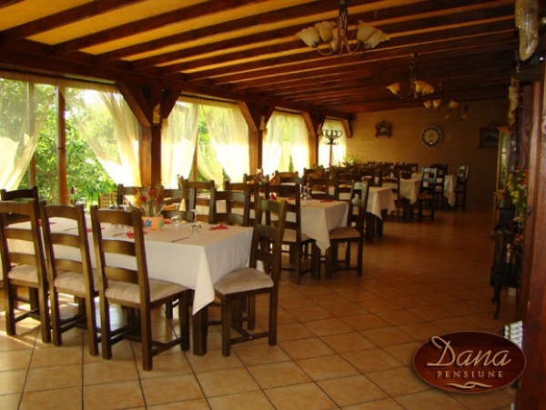 cazare Restaurant Dana 2 poza