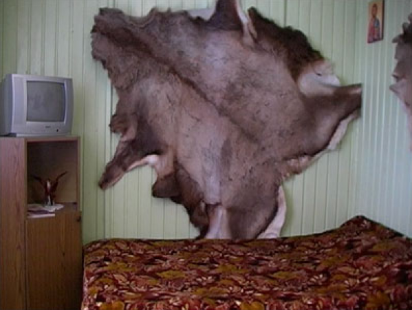 cazare Restaurant Pensiunea Potoci poza