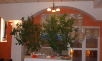 cazare Restaurantul Palace poza