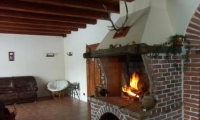 cazare Restaurant Casa Erika poza